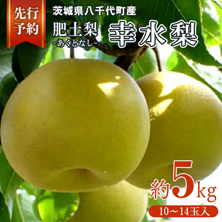 【ふるさと納税】＜先行予約＞【8月上旬以降発送】 八千代町産 肥土（あくと）梨 「幸水梨」 約5Kg 期間限定 なし 果物 フルーツ 甘いのサムネイル