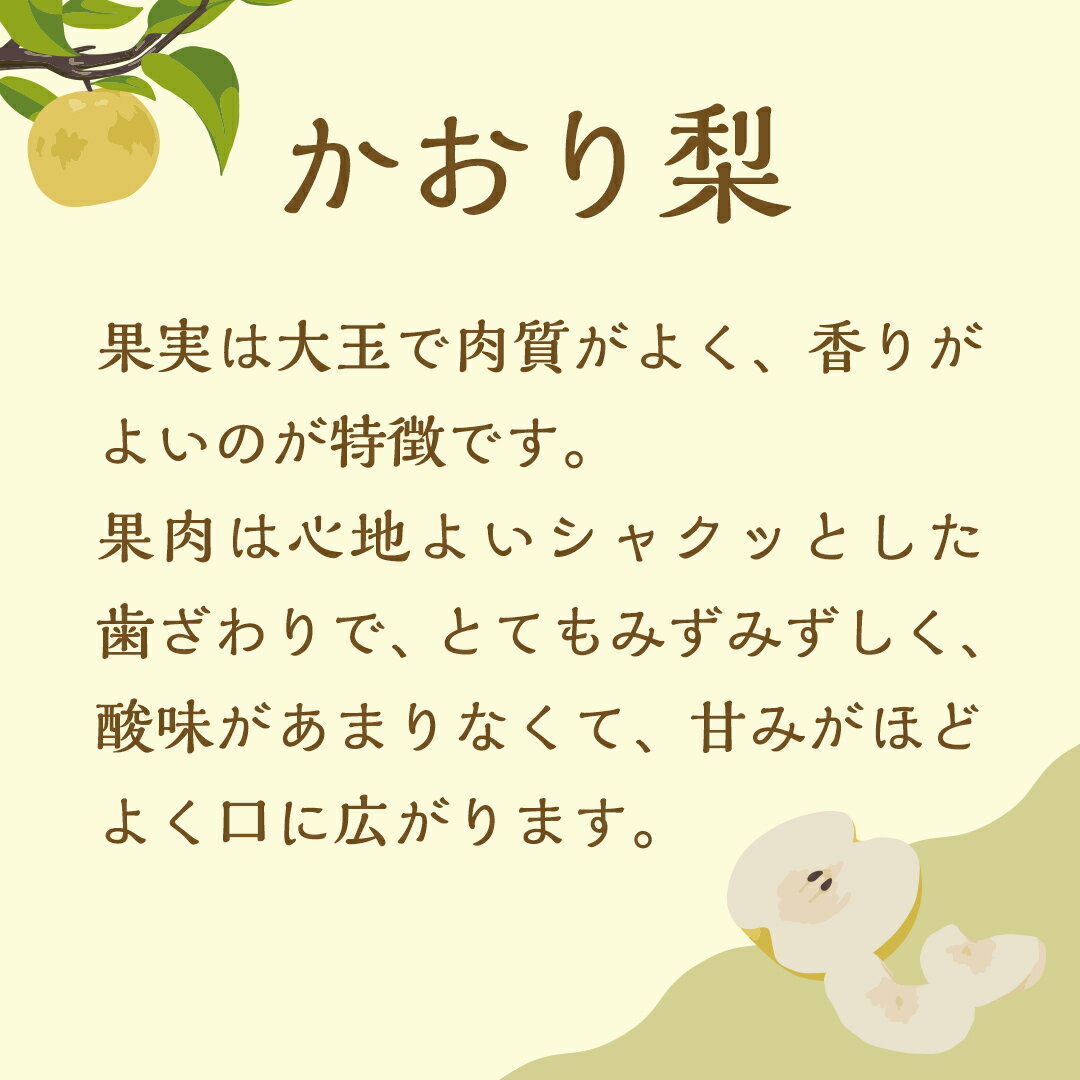 【ふるさと納税】＜ 先行予約 ＞ 【2024年9月中旬以降発送】 片野果樹園 かおり梨 約 5kg なし ナシ フルーツ 果物 旬 産地直送 国産 茨城県