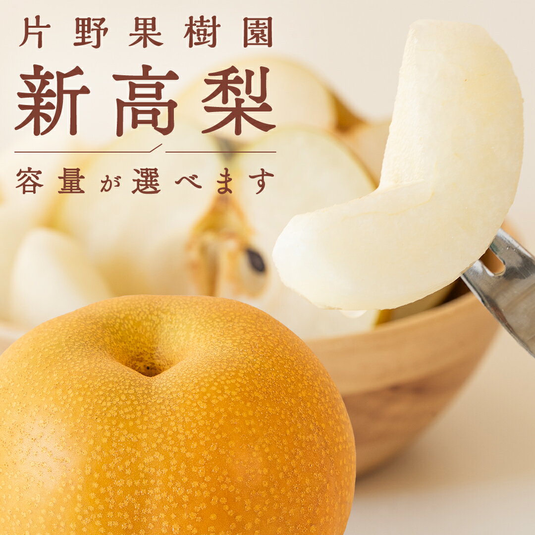 【ふるさと納税】【先行予約】 梨 新高 (選べる 3kg / 5kg ) 片野果樹園 新高梨 なし ナシ フルーツ 果物 くだもの デザート 旬 産地直送 国産 茨城県 【 2024年10月上旬以降発送 】のサムネイル