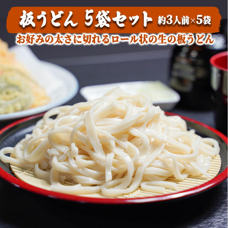 板うどん5袋セット