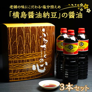 【ふるさと納税】老舗の味にこだわる「横島醤油納豆」の醤油 3本セット 調味料 ご当地 しょうゆ お取り寄せ