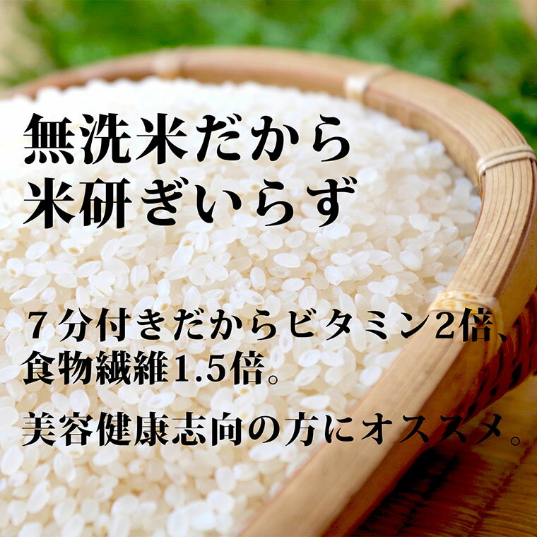 【ふるさと納税】贈答用ななひかり米　4.9kg（2kg×2、600g×1、300g×1）【無洗米】