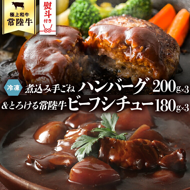 [ 熨斗対応品 ] 常陸牛100% 煮込み手ごねハンバーグ(200g×3パック)とろける常陸牛ビーフシチュー(180g×3パック) 八千代町産 白菜 使用 ハンバーグ ビーフシチュー 常陸牛 お肉 牛肉 和牛 セット 惣菜 レトルト グルメ お取り寄せ 冷凍