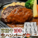 黒毛和牛 常陸牛 100% 特製 プレミアム 生ハンバーグ 120g×6個入り 合計720g 八千代町産 白菜 使用 無着色 保存料不使用 冷凍 牛 牛肉 ビー...