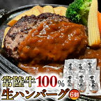 【ふるさと納税】黒毛和牛 常陸牛 100% 特製 プレミアム 生ハンバーグ 120g×6個入り 合計720g 八千代町産 白菜 使用 無添加 無着色 保存料不使用 冷凍 牛 牛肉 ビーフ 生 ハンバーグ こだわり お取り寄せ グルメ 個包装 小分け 時短 真空パック