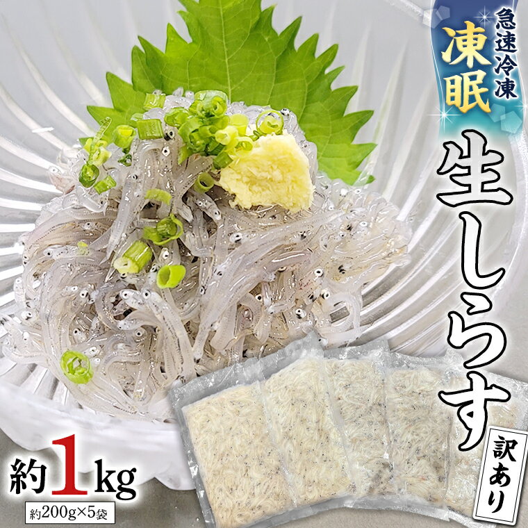 【ふるさと納税】 【凍眠】 冷凍 生しらす 約1kg 【訳あり】 しらす シラス 生シラス 新鮮 天然 小分け 魚介 海鮮 国産 刺身 真空 パック 訳あり 凍眠