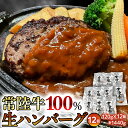 12位! 口コミ数「1件」評価「1」黒毛和牛 常陸牛 100% 特製 プレミアム 生ハンバーグ 120g×12個入り 合計1,440g 八千代町産 白菜 使用 無添加 無着色 ･･･ 