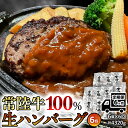 黒毛和牛 常陸牛 100% 特製 プレミアム 生ハンバーグ 120g×6個入り 合計720g 八千代町産 白菜 使用 無着色 保存料不使用 冷凍 牛 牛肉 ビー...