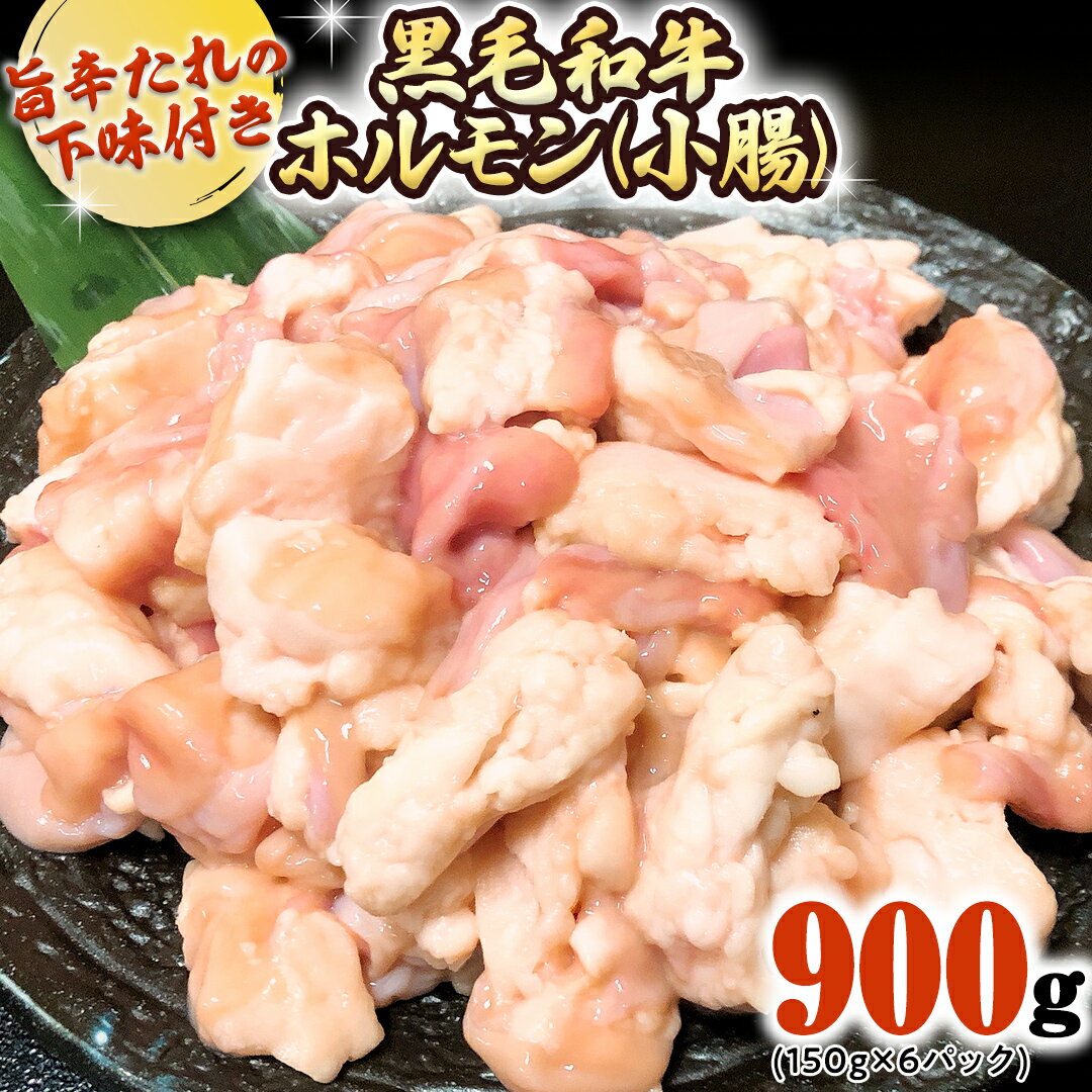 茨城県産 黒毛和牛 ホルモン 小腸 900g (150g × 6パック) 旨辛たれ 下味付き BBQ バーベキュー 焼肉 冷凍 小分け