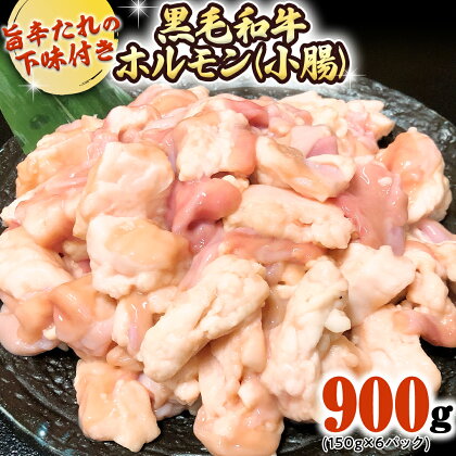 茨城県産 黒毛和牛 ホルモン 小腸 900g （150g × 6パック） 旨辛たれ 下味付き BBQ バーベキュー 焼肉 冷凍 小分け