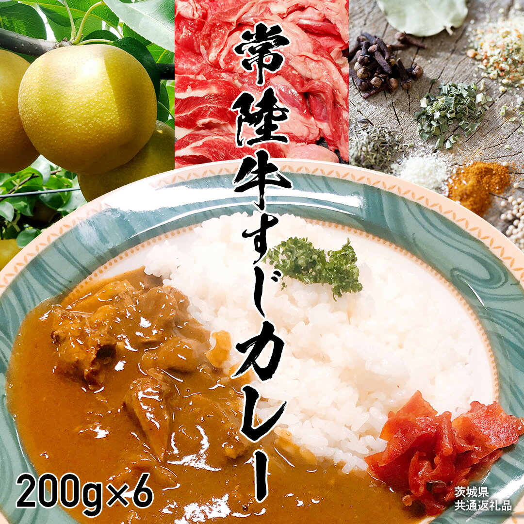 [茨城県共通返礼品]常陸牛すじカレー 200g ×6 常陸牛 カレー 牛肉 時短 ふるさと納税 10000円