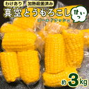 【ふるさと納税】【訳あり】加熱殺菌済み 真空とうもろこし (ゴールドラッシュ) 約3kg とうもろこし トウモロコシ 無添加 保存料不使用 真空 真空パック 数量限定