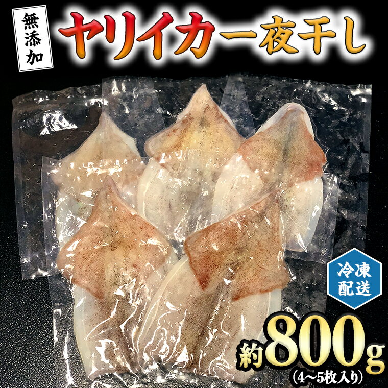 【ふるさと納税】＜2023年2月以降発送＞ 【無添加】 ヤリイカ 一夜干し 約800g (4～5枚入り) 冷凍 干物