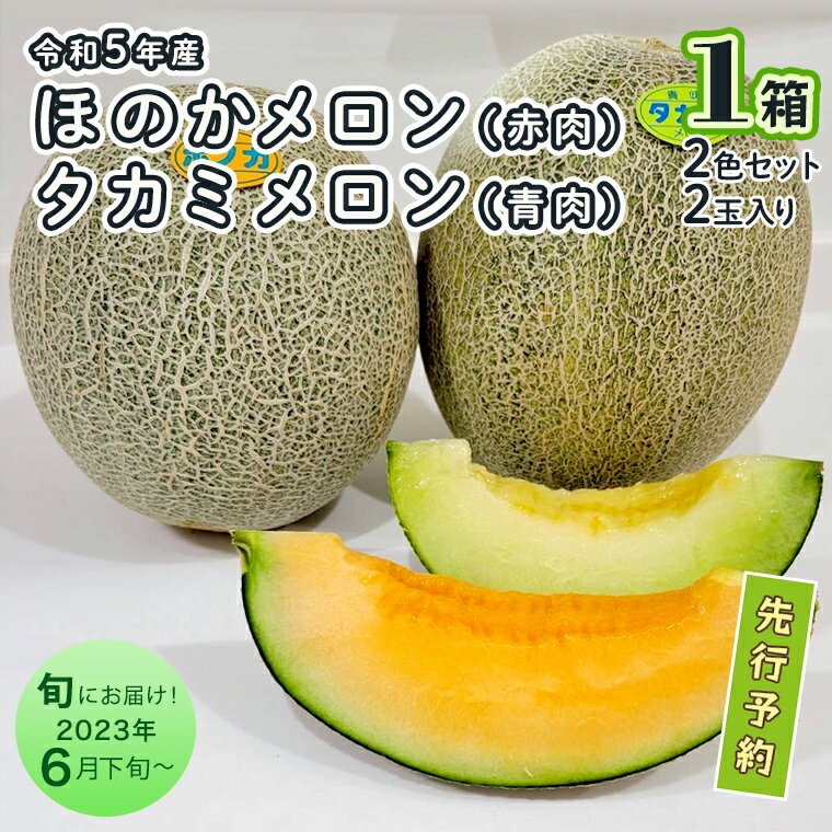 【ふるさと納税】＜先行予約＞【6月下旬以降発送】令和5年産 ほのかメロン（赤肉）・ タカミメロン（青肉） 2色セット 1箱 2玉入り 期間限定 産地直送 果物 フルーツ メロン 赤肉 青肉 食べ比べ 甘い 2玉のサムネイル
