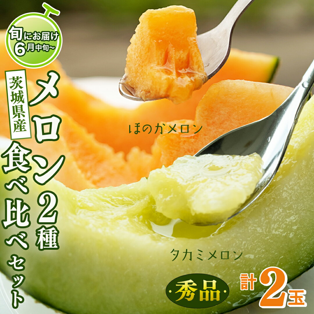 【ふるさと納税】 茨城県 メロン 秀品 2色 食べ比べ セット ほのかメロン タカミメロン 赤肉 青肉 1箱 2玉入り 期間限定 フルーツ 果物 くだもの 甘い 2玉 茨城県産 産地直送 産直 直送 【 先行予約 】【 令和6年産 】【 6月中旬 以降発送】のサムネイル