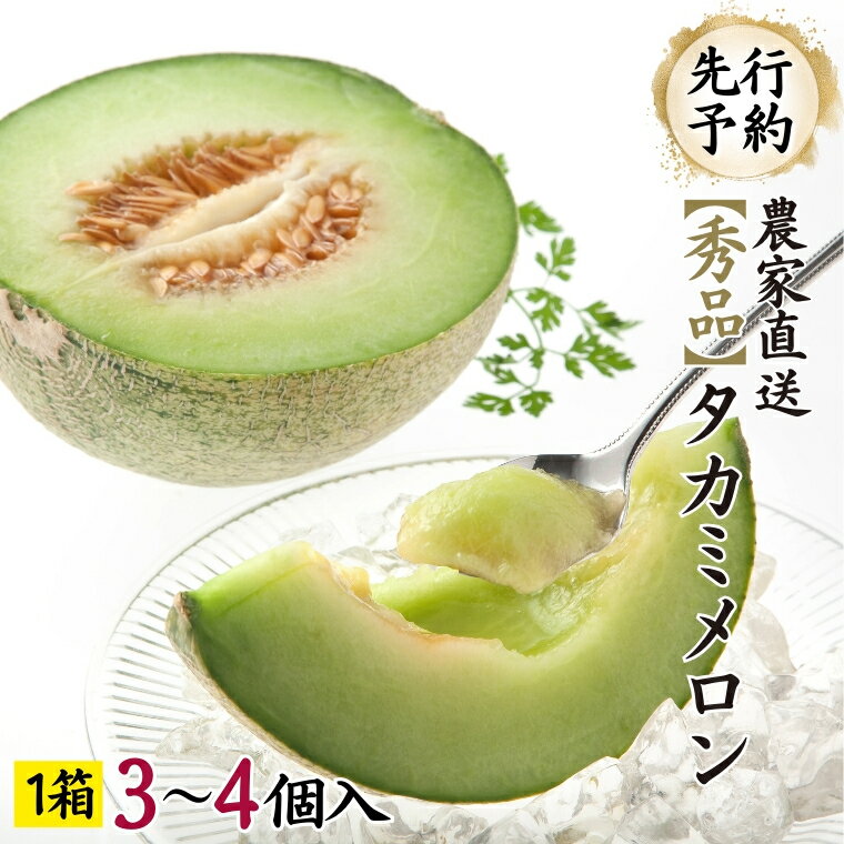 【ふるさと納税】【 先行予約 6月中旬以降発送 】 令和6年産 タカミ メロン 1箱 秀品 3～4玉入り 期間限定 産地直送 果物 フルーツ メロン 青肉 甘いのサムネイル