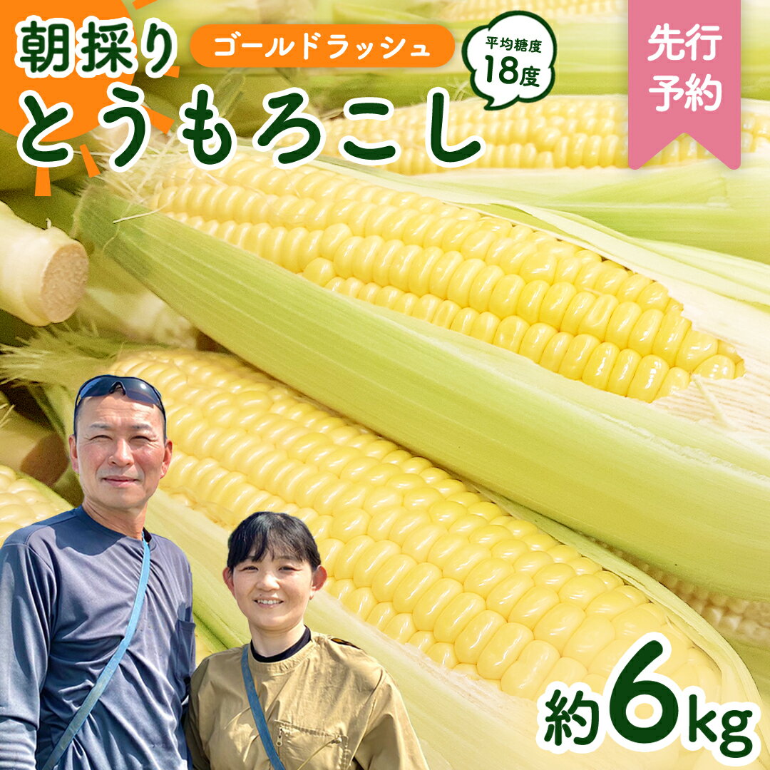 【先行予約】 朝採り とうもろこし （ ゴールドラッシュ ） 約 6kg 《 6月下旬 以降発送 》 トウモロコシ スイートコーン コーン 野菜 産地直送 期間限定 極甘