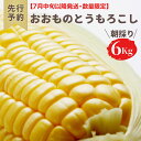【ふるさと納税】<令和5年産> 【 先行予約 ・ 7月中旬以降発送】 【数量限定】 八千代町産 農家直送 朝採りとうもろこし おおもの 6kgトウモロコシ スイートコーン 産地直送