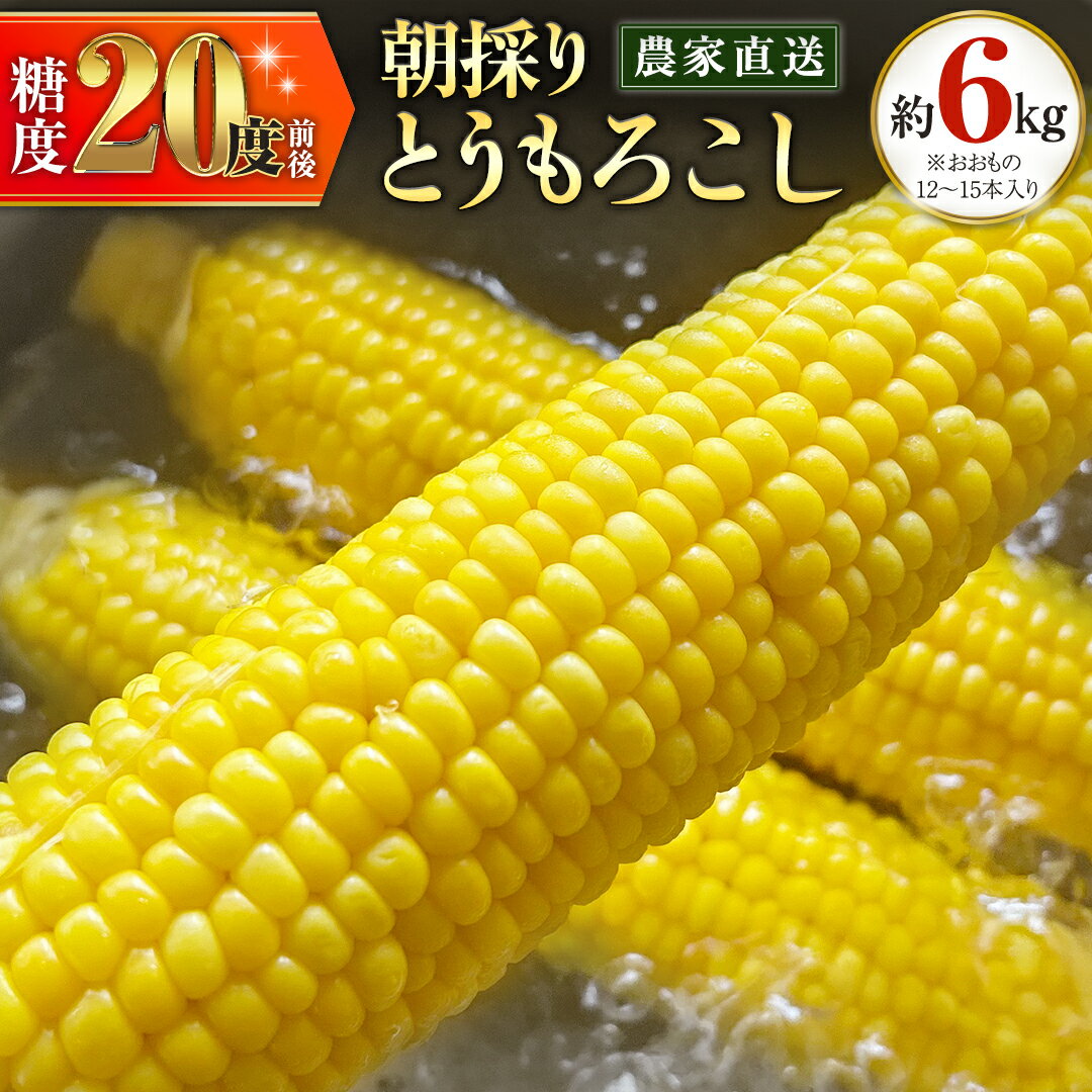 【ふるさと納税】朝採り 農家直送 とうもろこし 6kg おおもの 【 先行予約 ・ 7月中旬以降発送】 トウモロコシ スイートコーン コーン 野菜 大粒 大きい 新鮮 甘い 高糖度 サラダ 八千代町産 …