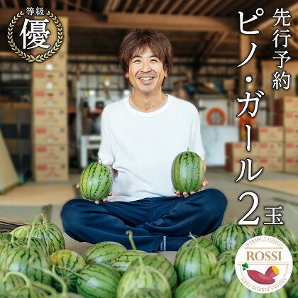 【 先行予約 7月下旬 以降発送 】 小玉 スイカ ピノ・ガール 2玉 優以上 NONAKA HIROSHI FARM すいか 西瓜 数量限定 甘い 夏 果物 旬