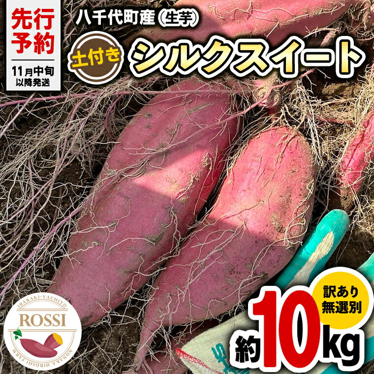 【ふるさと納税】【 先行予約 2024年11月中旬以降発送 】 訳あり 無選別 八千代町産 シルクスイート 生芋 約 10kg さつまいも イモ 芋 おやつ デザート いも 秋 旬