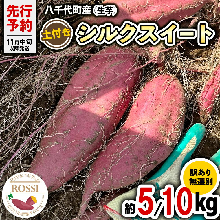 野菜・きのこ(サツマイモ)人気ランク25位　口コミ数「0件」評価「0」「【ふるさと納税】【 先行予約 2024年11月中旬以降発送 】 【 選べる 内容量 】訳あり 無選別 八千代町産 シルクスイート 生芋 土付き さつまいも サツマイモ 芋 いも イモ ワケアリ 訳アリ 八千代町 ふるさと納税 5000円 8000円」