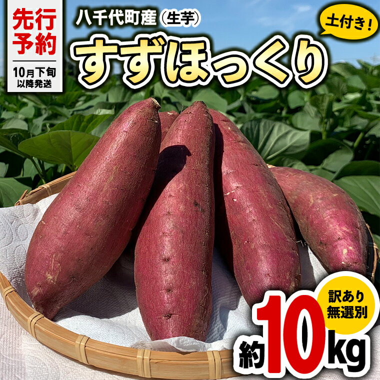 【ふるさと納税】【 先行予約 2024年10月下旬以降発送 】 訳あり 茨城 八千代町産 さつまいも すずほっ..