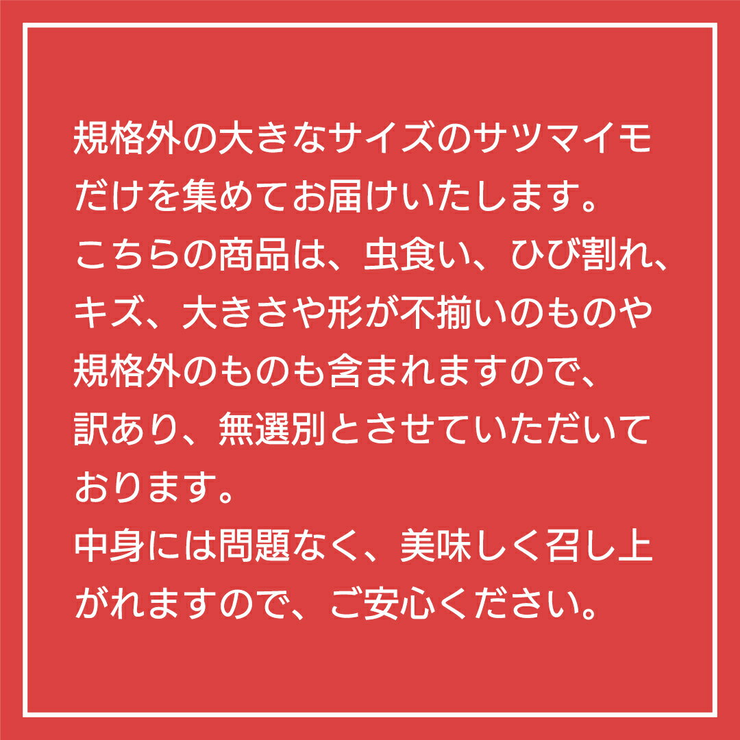 【ふるさと納税】【 先行予約 2024年11月下旬以降発送 】【 訳あり 】 八千代町産 巨大芋 シルクスイート 生芋 土付き 10kg さつまいも サツマイモ 芋 イモ ふるさと納税 6000円 訳アリ