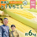 【ふるさと納税】【先行予約】 朝採り とうもろこし （ ゴールドラッシュ ） 約 6kg 《 6月下旬 以降発送 》 トウモロコシ スイートコーン コーン 野菜 産地直送 期間限定 極甘