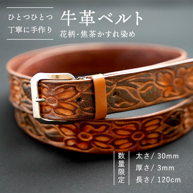 ڤդ뤵Ǽǡۡ ̸۵ץ٥ ʲ㤫 30mm3mmĹ120cm     ٥  ϥɥᥤ  
