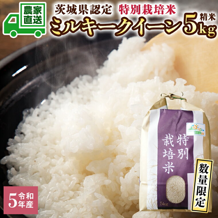【ふるさと納税】【数量限定】令和5年産 茨城産 特別栽培米 ミルキークイーン 5kg 精米 米 こめ コメ 茨城県 白米 国産 いばらき 単一米 直送のサムネイル