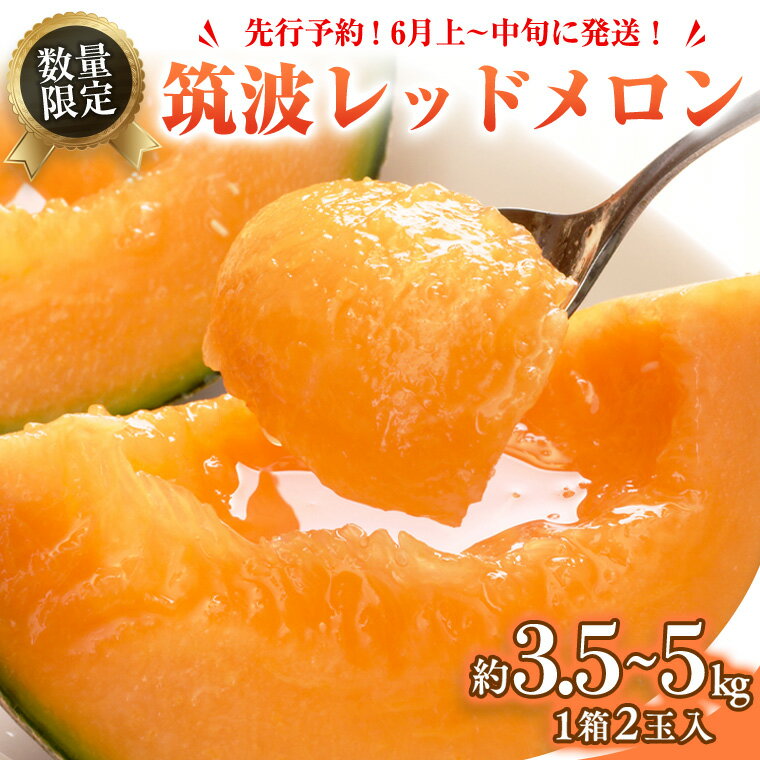 【ふるさと納税】【 先行予約 】【6月上旬以降発送】 筑波レッドメロン 1箱 2玉 入り（約 3.5kg ～ 5kg） メロン レッド 赤肉 甘い 期間限定 産地直送 果物 フルーツのサムネイル