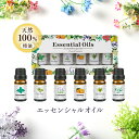  エッセンシャルオイル 天然100％ 精油 10ml × 6本 ( ペパーミント , ティーツリー , ラベンダー , スイートオレンジ , レモングラス , ユーカリ ) アロマオイル アロマ 遮光瓶 香り リラックス 睡眠 ギフト プレゼント セット 母の日