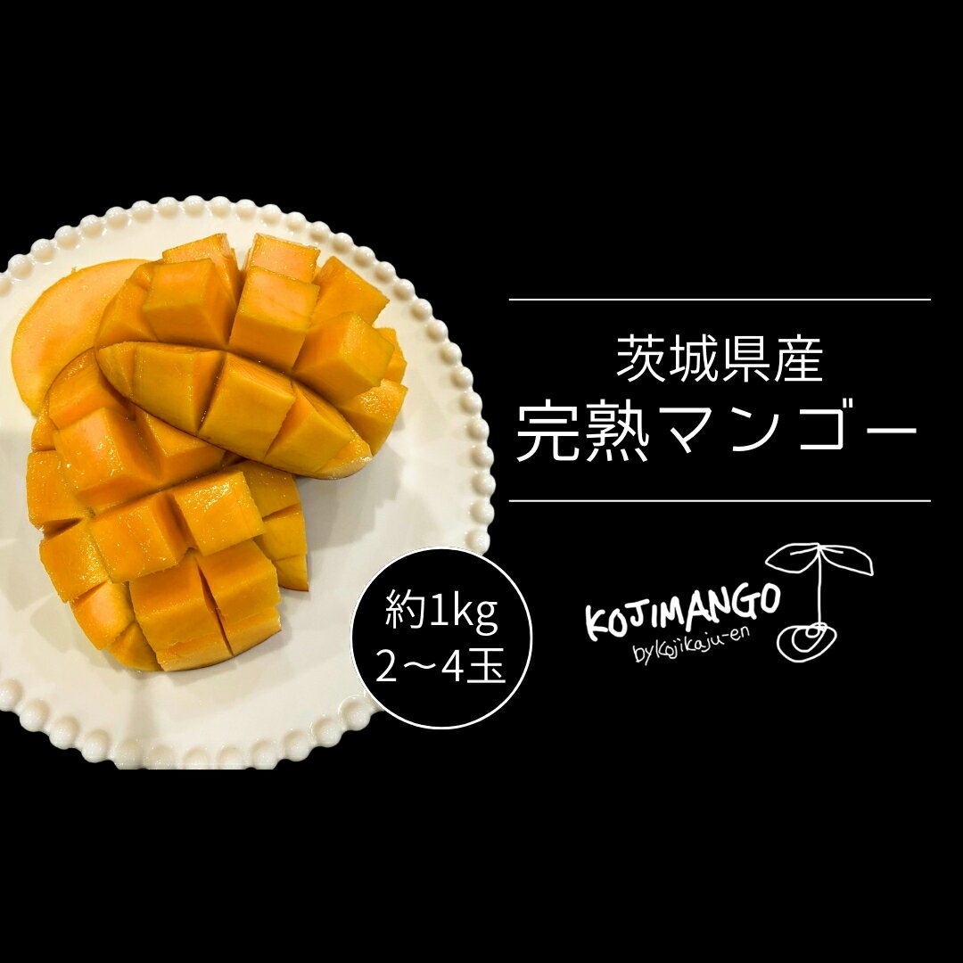 [ 先行予約 ] 完熟マンゴー 約 1kg ( 2〜4玉 ) アーウィン マンゴー 茨城県 八千代町 [CX005ya]