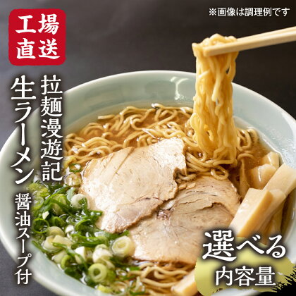 【 内容量を選べる 】【 工場直送 】 拉麺漫遊記 生ラーメン 10 or 20食セット 醤油スープ付き ラーメン らーめん 拉麺 麺 めん 小菅製麺 ふるさと納税 6000円 12000円