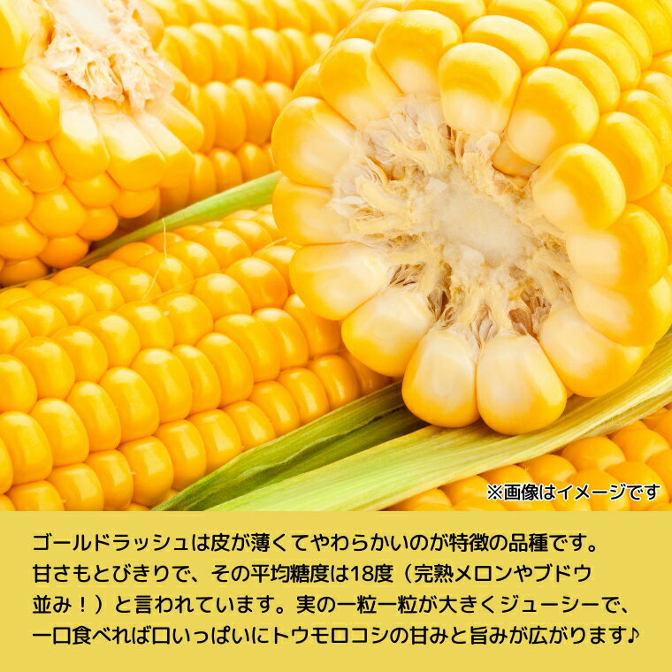 【ふるさと納税】【 先行予約 2026年7月上旬以降発送 】【農家直送】 朝採り トウモロコシ （ ゴールドラッシュ ）1箱 約 6kg （13～17本 入り） とうもろこし スイートコーン 産地直送 期間限定 甘い 2026 2026年発送 2026年先行受付 2026年