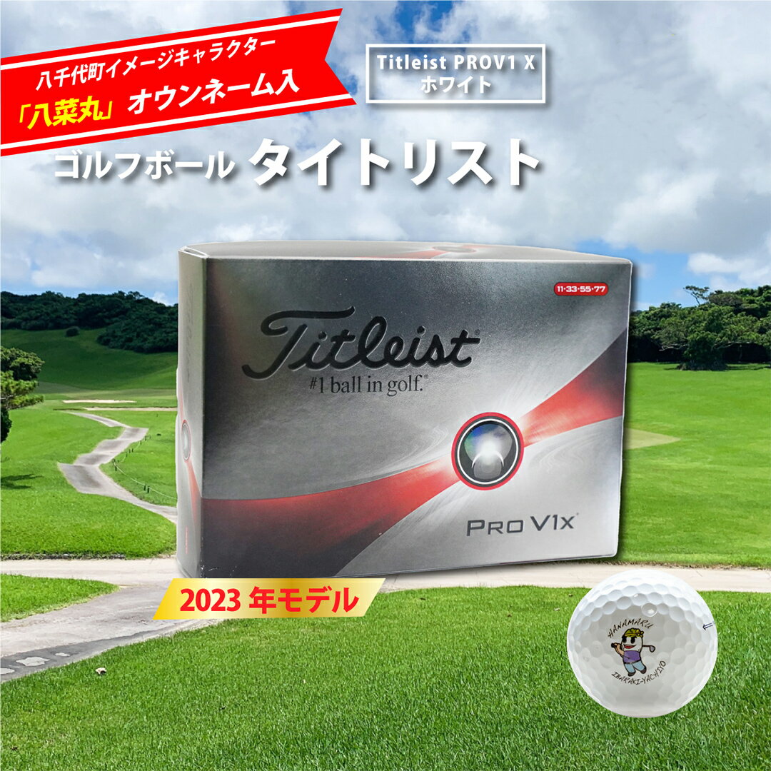 【ふるさと納税】【 2023年9月30日まで 】 ゴルフボール タイトリスト PROV1X ホワイト 八菜丸 プロV1x Titleist ゴルフ ボール 期間限定 スポーツ