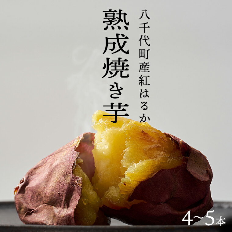 【ふるさと納税】【 先行予約 2025年1月以降発送 】 oimo_tokyo 熟成 焼き芋 八千代町産 紅はるか 4本 ..