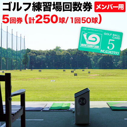 ゴルフ練習場回数券 5回券（250球） メンバー用 イベントやチケット ゴルフ場利用券 打ちっぱなし 回数券 アウトドア メンバー