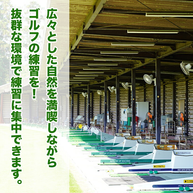 【ふるさと納税】ゴルフ練習場回数券 11回券（550球） メンバー用 イベントやチケット ゴルフ場利用券 打ちっぱなし 回数券 アウトドア メンバー