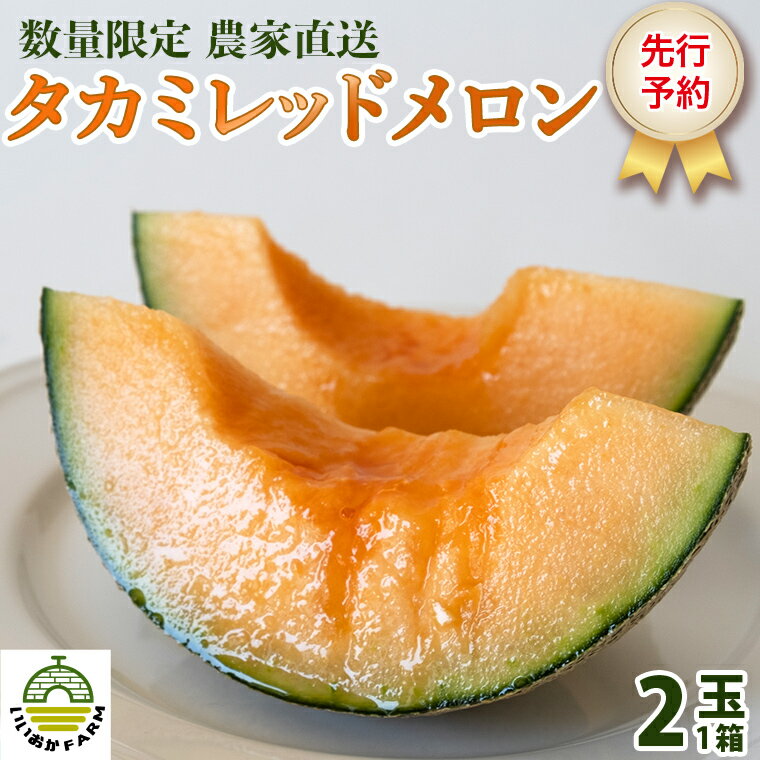 [ 令和7年産 ][ 先行予約 ]タカミレッドメロン 秀品 1箱 2玉入り 飯岡 メロン 貴味 タカミ 赤肉 果物 フルーツ 甘い