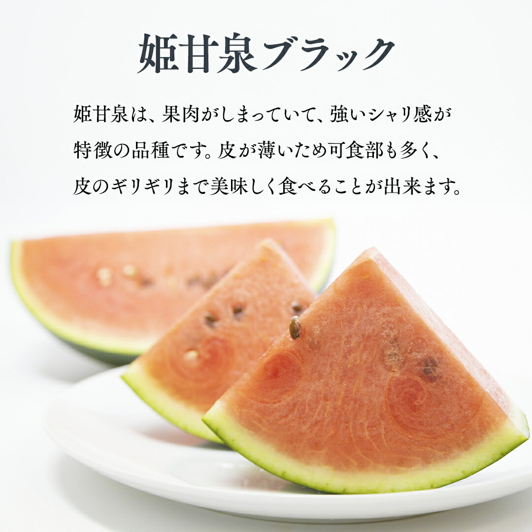 【ふるさと納税】【 令和8年産 】【 先行予約 】小玉 スイカ 姫甘泉ブラック 1箱 2玉入り すいか 黒 西瓜 数量限定 甘い 夏 果物 2026 2026年発送 2026年先行受付 2026年