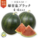 14位! 口コミ数「0件」評価「0」【 令和6年産 】【 先行予約 2024年7月下旬以降発送 】 小玉 スイカ 姫甘泉ブラック 1箱 4玉 ～ 6玉入り 小玉スイカ すいか ･･･ 