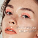 楽天茨城県八千代町【ふるさと納税】HOLLYWOOD BROW LIFT® （ ハリウッドブロウリフト ） 眉 眉毛 眉毛パーマ メイク アイブロウ サロン