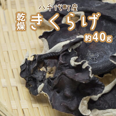 楽天ふるさと納税　【ふるさと納税】 八千代町産 乾燥 きくらげ 約 40g キクラゲ 木耳 きのこ キノコ 乾燥 ふるさと納税 6000円 茨城県 八千代町