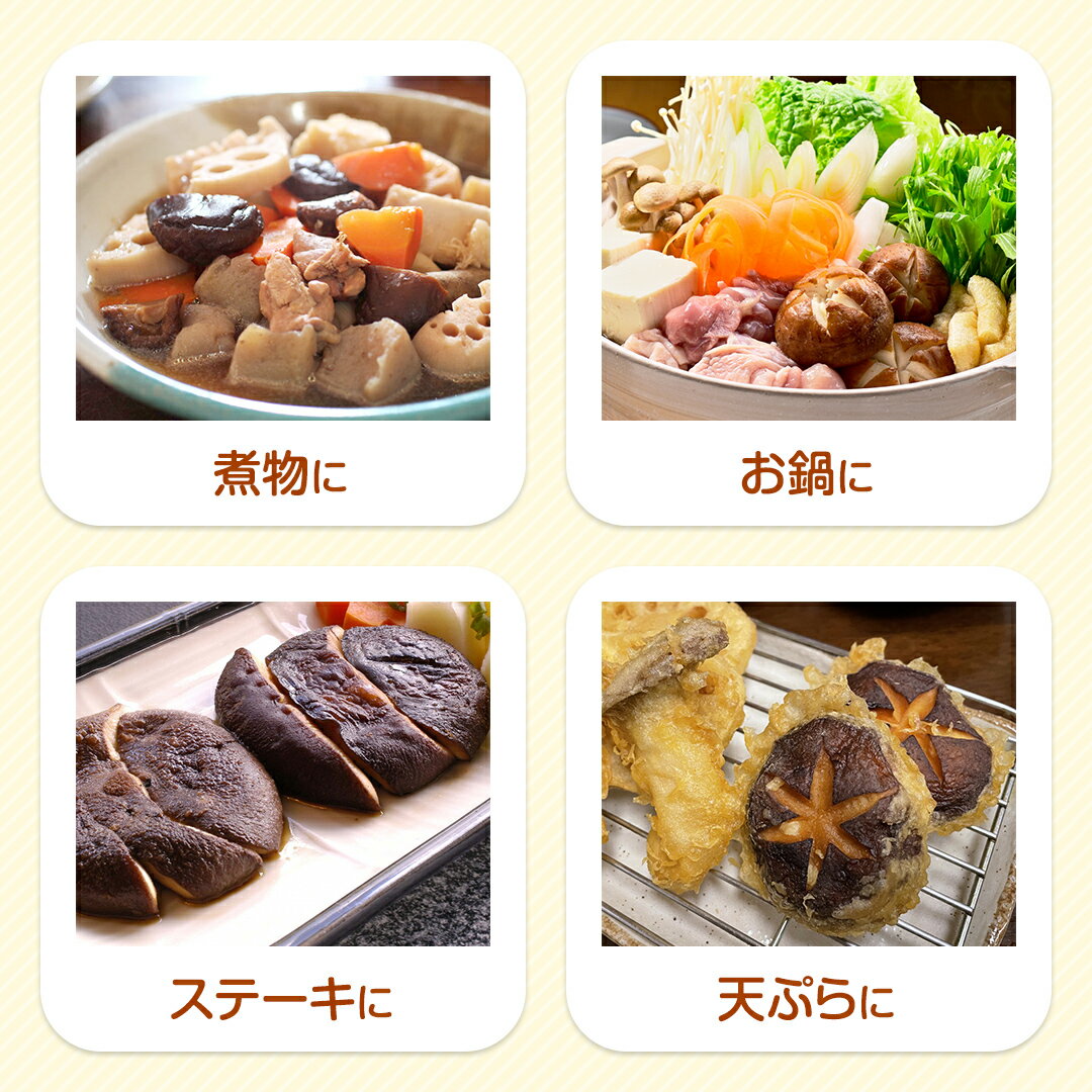 【ふるさと納税】 八千代町産 生 しいたけ 約500g 椎茸 生椎茸 シイタケ きのこ キノコ ふるさと納税 6000円 茨城県 八千代町