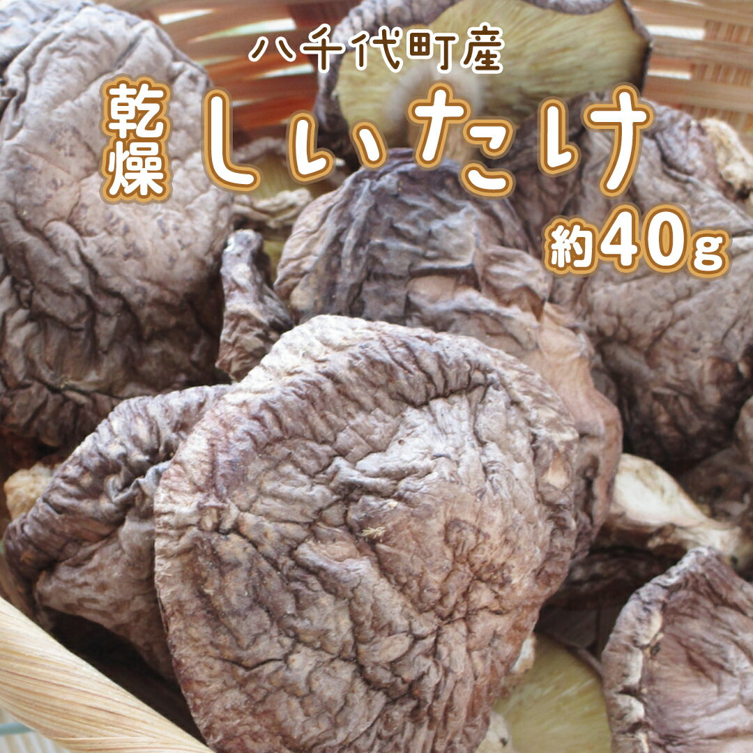 八千代町産 乾燥 しいたけ 約40g 椎茸 シイタケ きのこ キノコ 乾燥 ふるさと納税 6000円 茨城県 八千代町