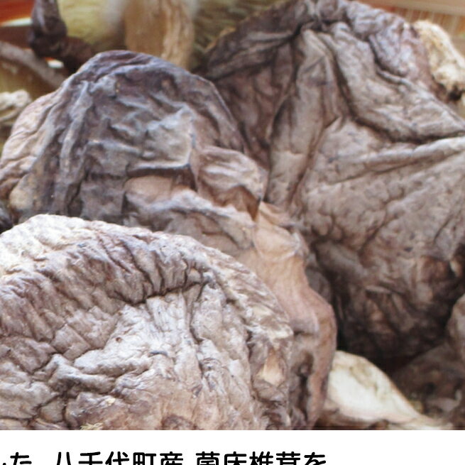 【ふるさと納税】 八千代町産 乾燥 しいたけ 約40g 椎茸 シイタケ きのこ キノコ 乾燥 ふるさと納税 6000円 茨城県 八千代町