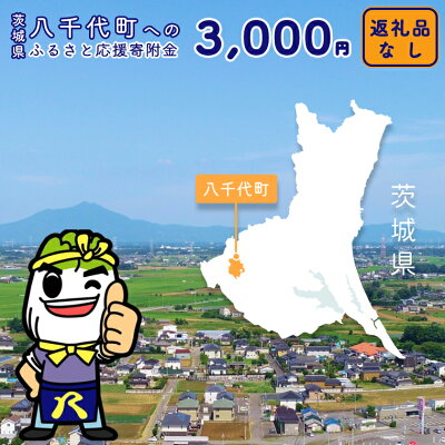 楽天ふるさと納税　【ふるさと納税】 【 返礼品なし 】茨城県 八千代町 ふるさと応援寄附金 （ 3,000円 )