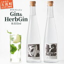 【ふるさと納税】【クラフトジン】Gin＆HerbGin